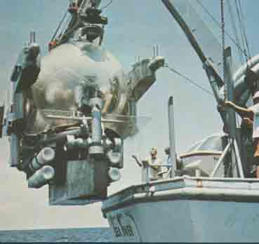 sea-ling