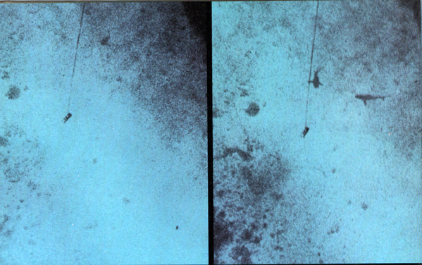 &auml;&auml;nil&auml;hetin