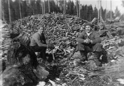 Vahojärven viimeinen tervahautatyö