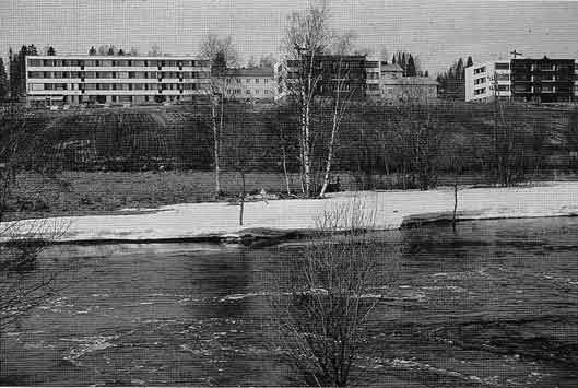 Viinikanahde-ylempi-kerrostalo